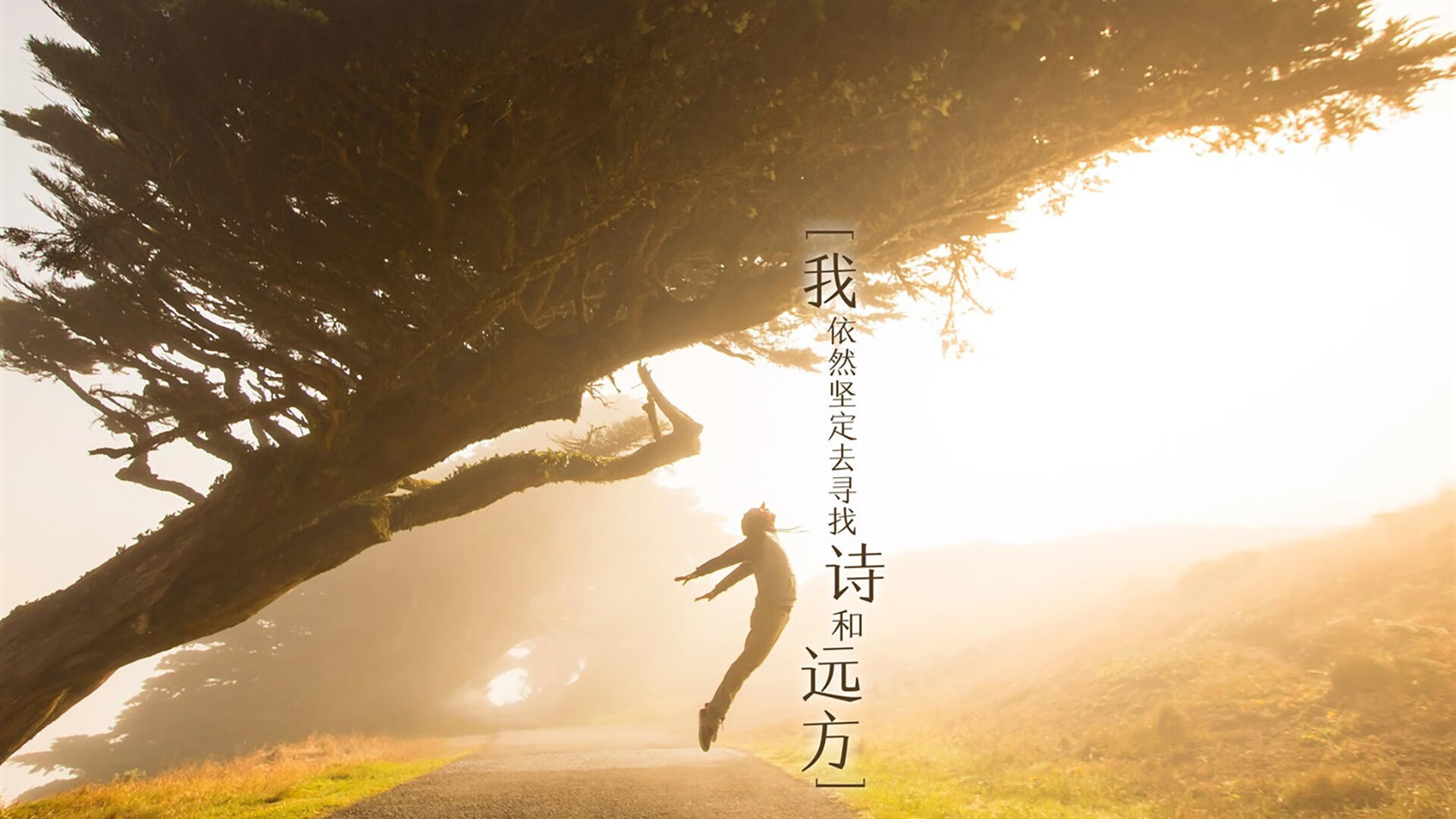 乐鱼电竞-_湖人队迎来关键战役，全员拼搏争夺胜利_，湖人队2022