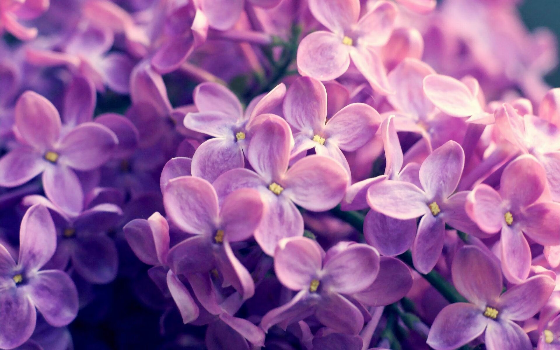 “英超劲旅迎来关键战役,冲击榜首再奋勇”,英超劲旅有哪些