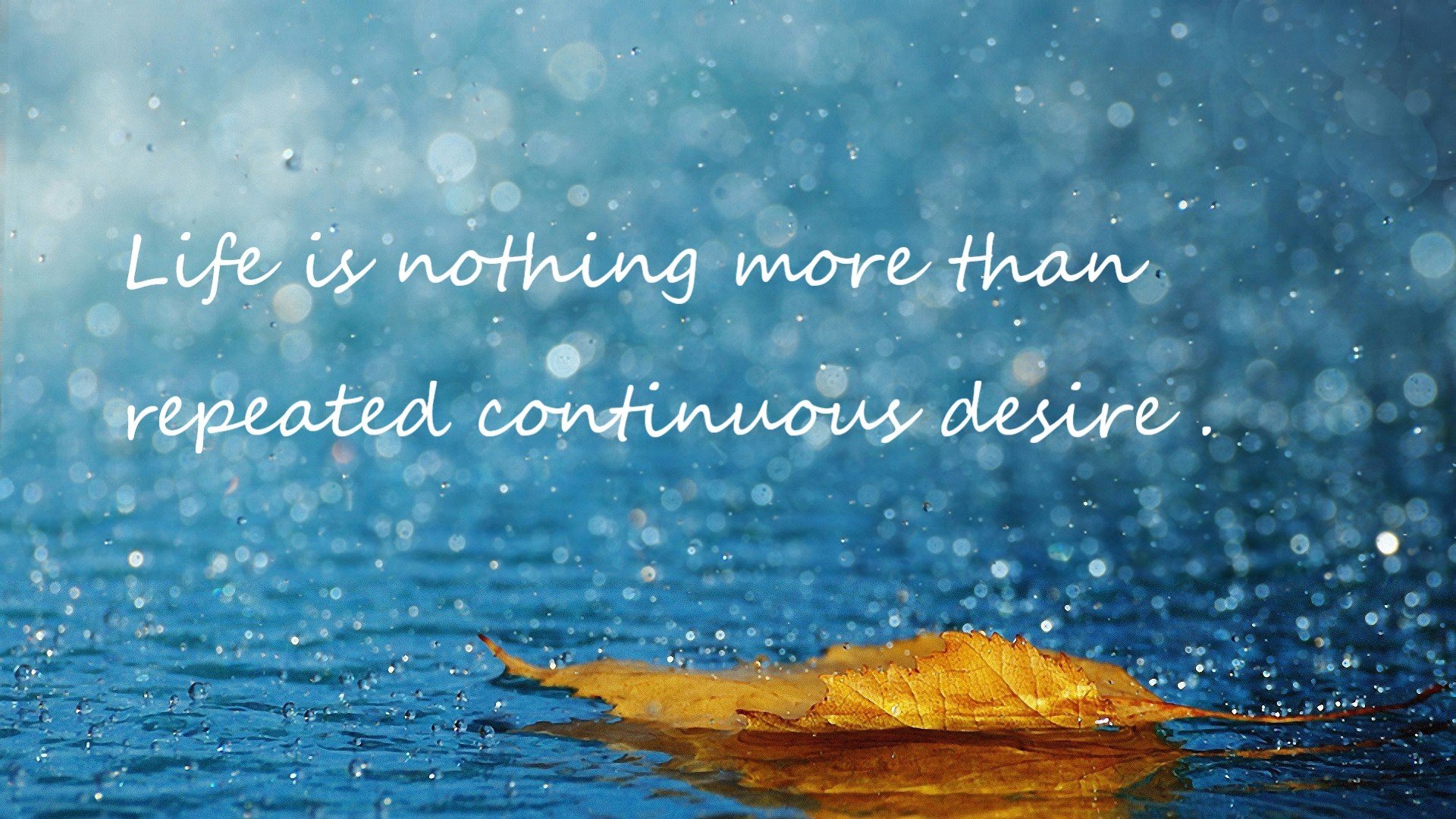 普拉提课程在女性健身人群中受欢迎，普拉提课程视频教程全集