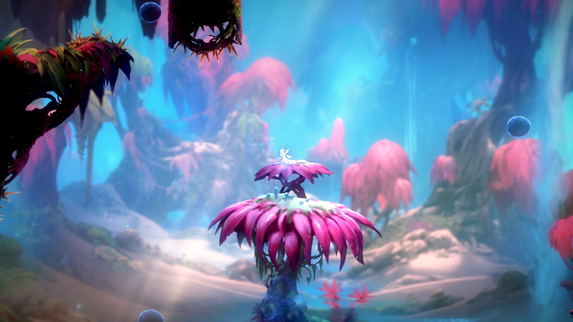 乐鱼电竞-普拉提课程在康复领域的应用得到广泛认可，普拉提康复训练是什么