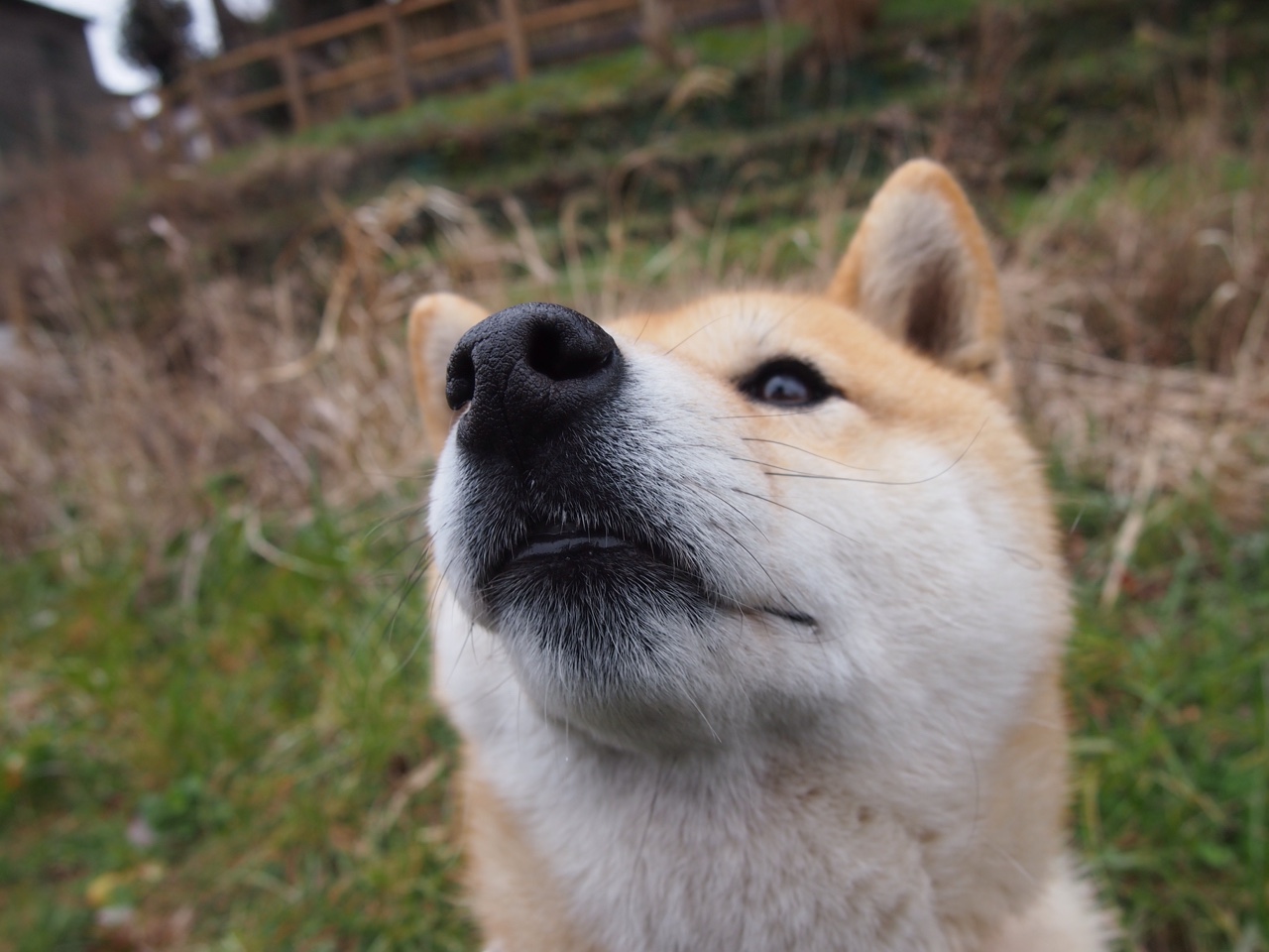 LEYU SPORTS中国官方网站-争夺欧洲足球冠军联赛冠军，名不虚传，足球欧洲冠军排行榜