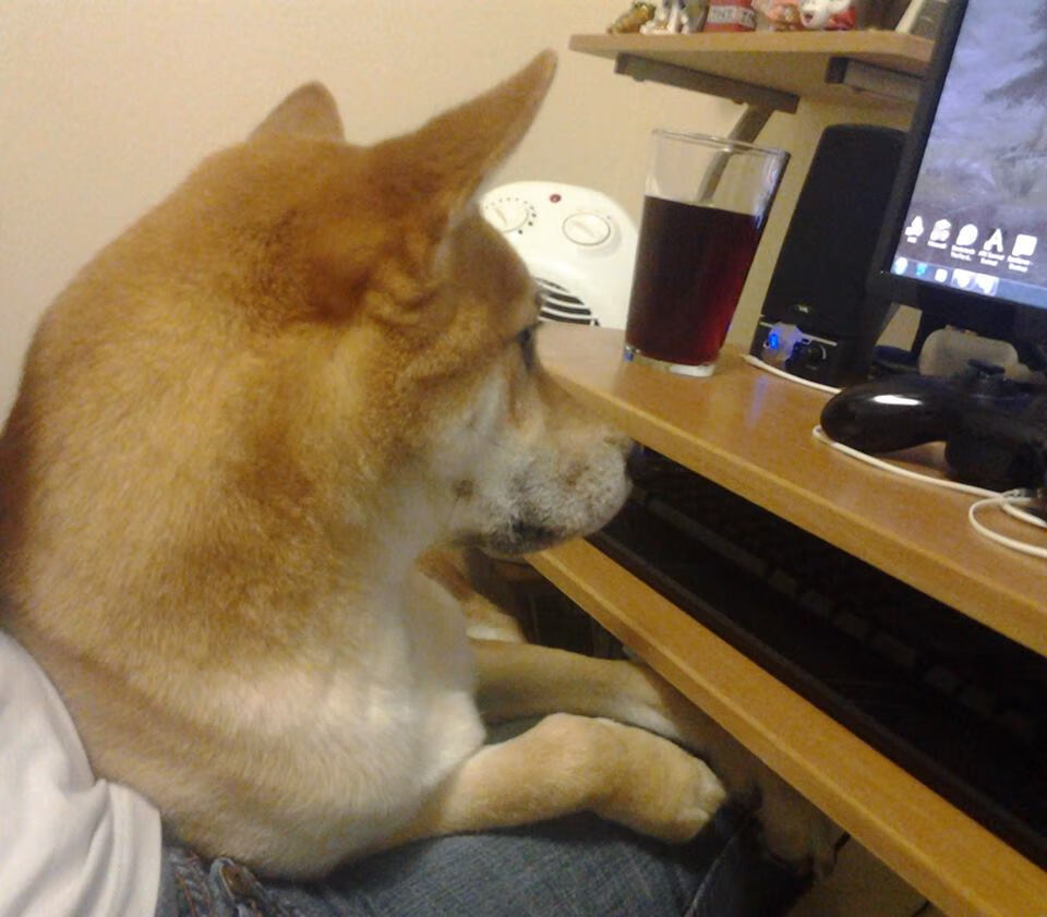 公牛队年轻阵容磨合成效显著，公牛队的阵容