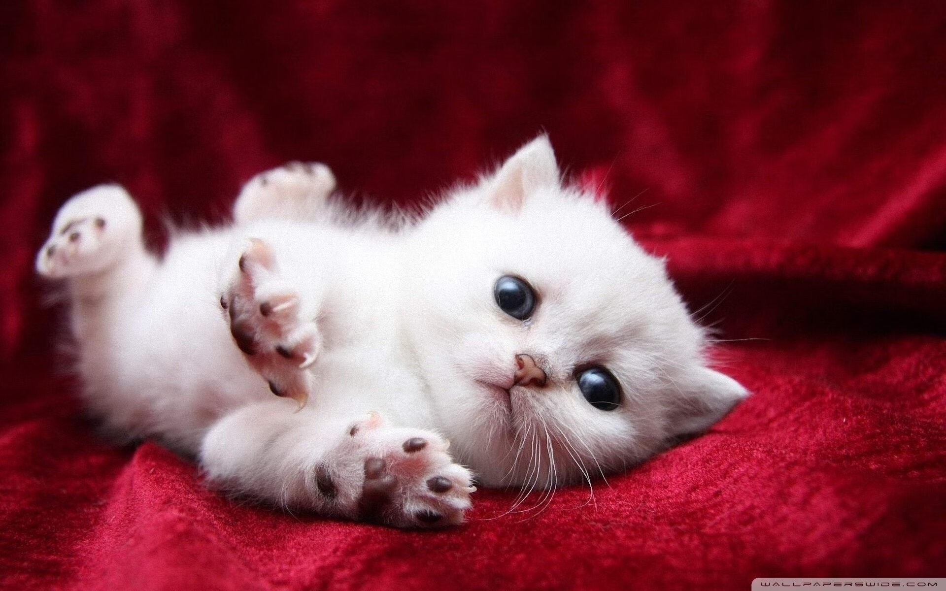 勇者之战引人入胜，球场铺陈新篇章！，勇者之战手游官网