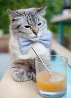 国家篮球联盟市场拓展战略，篮球国家队赛事