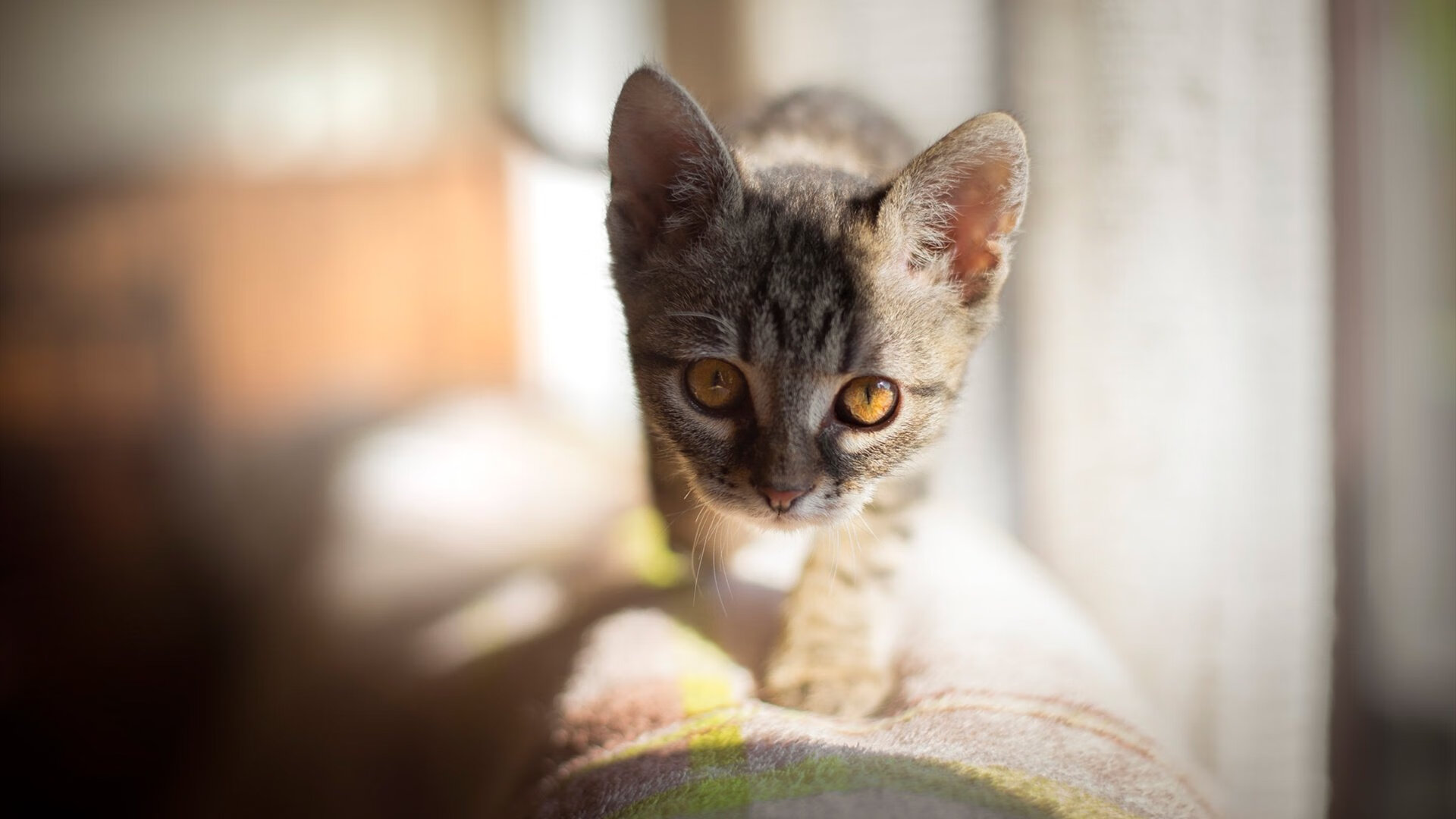 尤文图斯老将退役,球队重建呼声高涨,尤文图斯退役号码