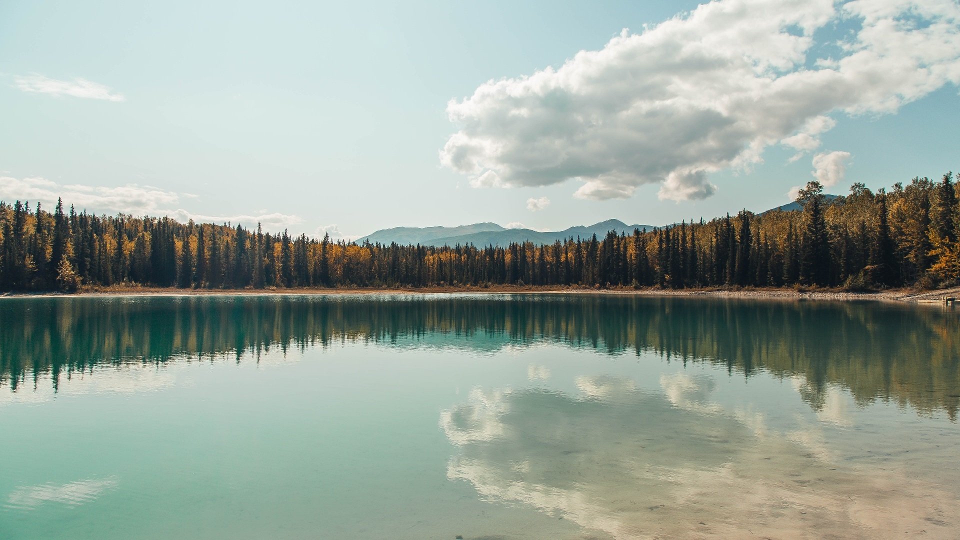 尤文图斯胜阿贾克斯，成功晋级半决赛，尤文图斯1_2阿贾克斯