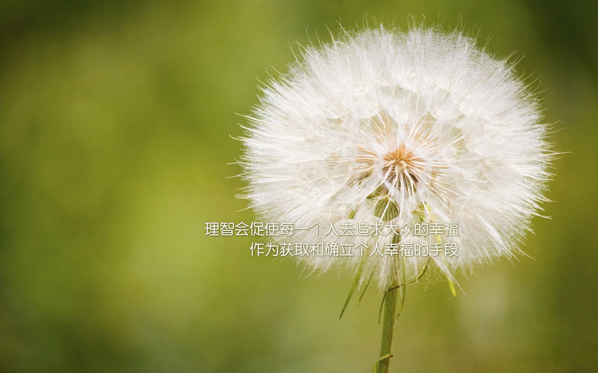 乐鱼体育APP官方下载-湖人翻盘公牛，全明星赛前哨战中詹姆斯三分雨不断，湖人james