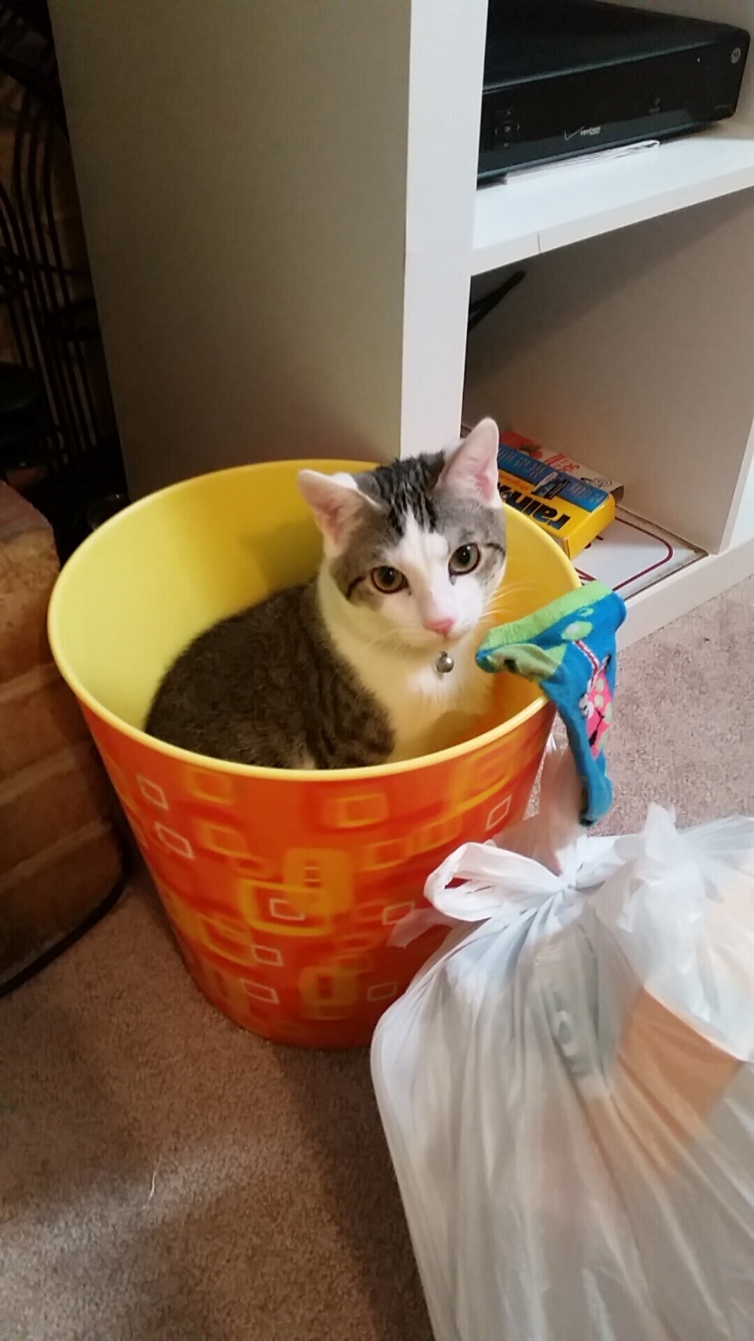 乐鱼娱乐app-荷兰马术协会推出马术运动员职业发展规划，促进人才培养。，荷兰马术大师赛将于4月23-25日举行 顶级骑手参赛