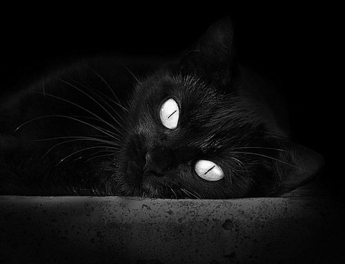 NBA球员赛季体能管理策略研究，nba球员身体素质训练