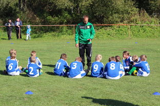 乐鱼vip-中国篮球教练员战术创新能力培养及培训机制研究，全国篮球教练员岗位培训