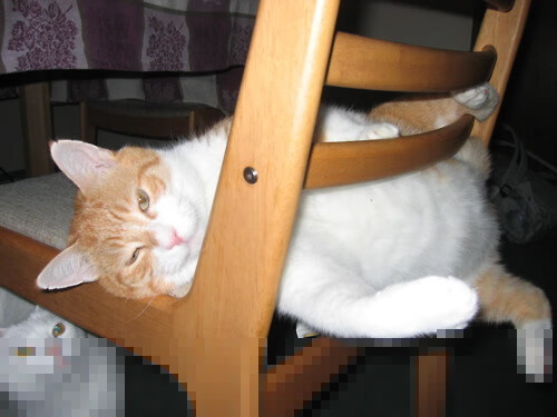 亚冠赛场中日韩球队上演焦点之战,中日韩足球