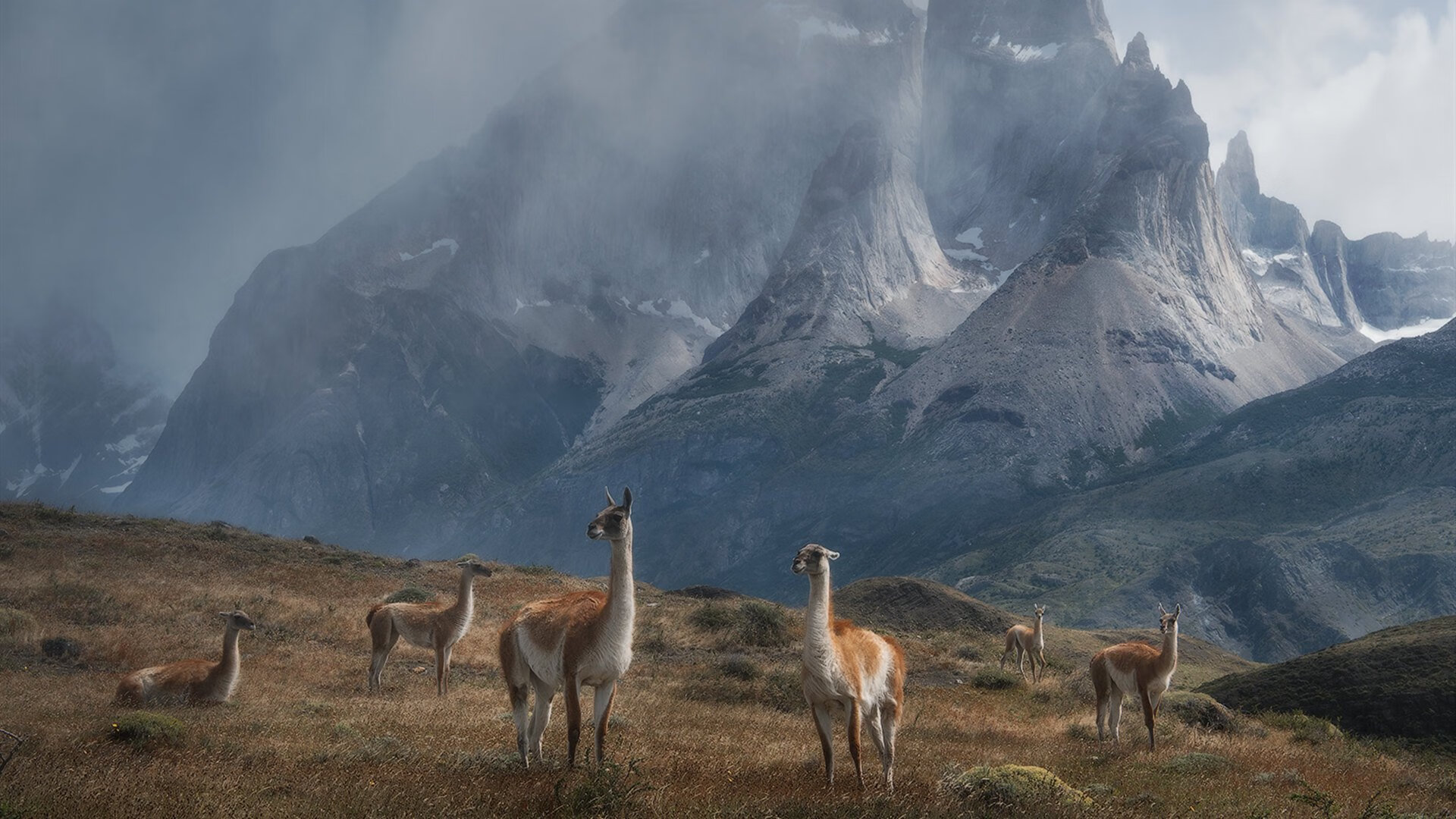 高校马拉松联赛覆盖百所高校,大学生马拉松联赛官网