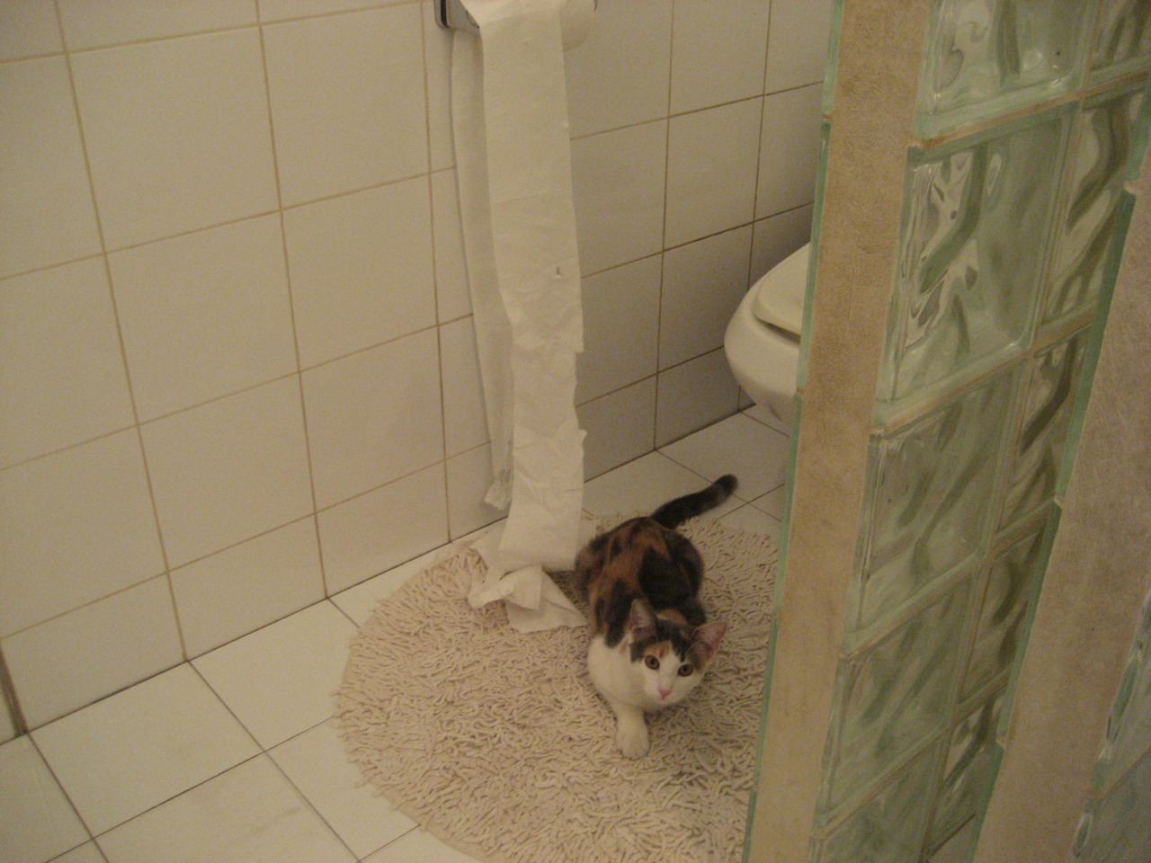 欧洲杯激战正酣:策略变阵,引领潮流,欧洲杯z