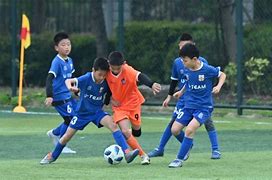 青少年足球发展新政，强化基层足球的支持。的简单介绍